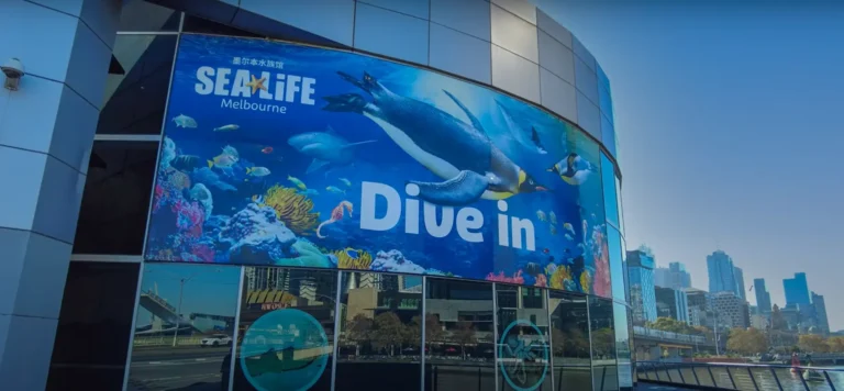 Discovering Sea Life Melbourne - Melbourne Local Guide - Sea Life Aquarium Melbourne Entrance