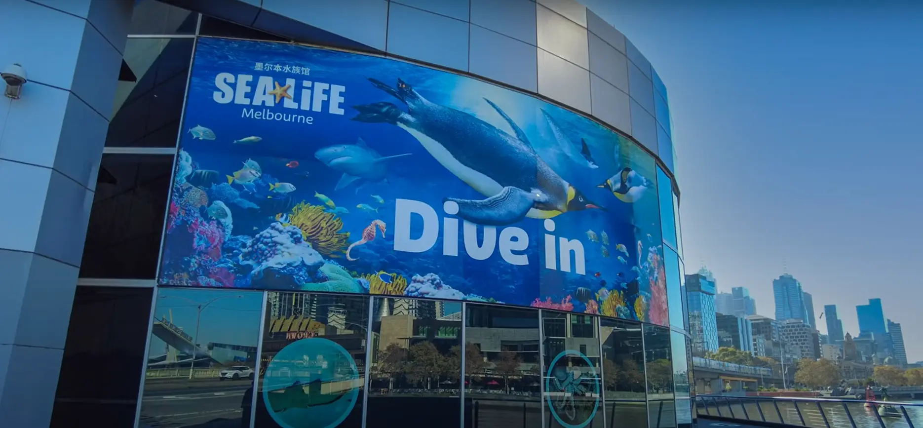 Discovering Sea Life Melbourne - Melbourne Local Guide - Sea Life Aquarium Melbourne Entrance