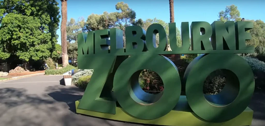 Melbourne Zoo Marvels - Melbourne Local Guide - Melbourne Zoo