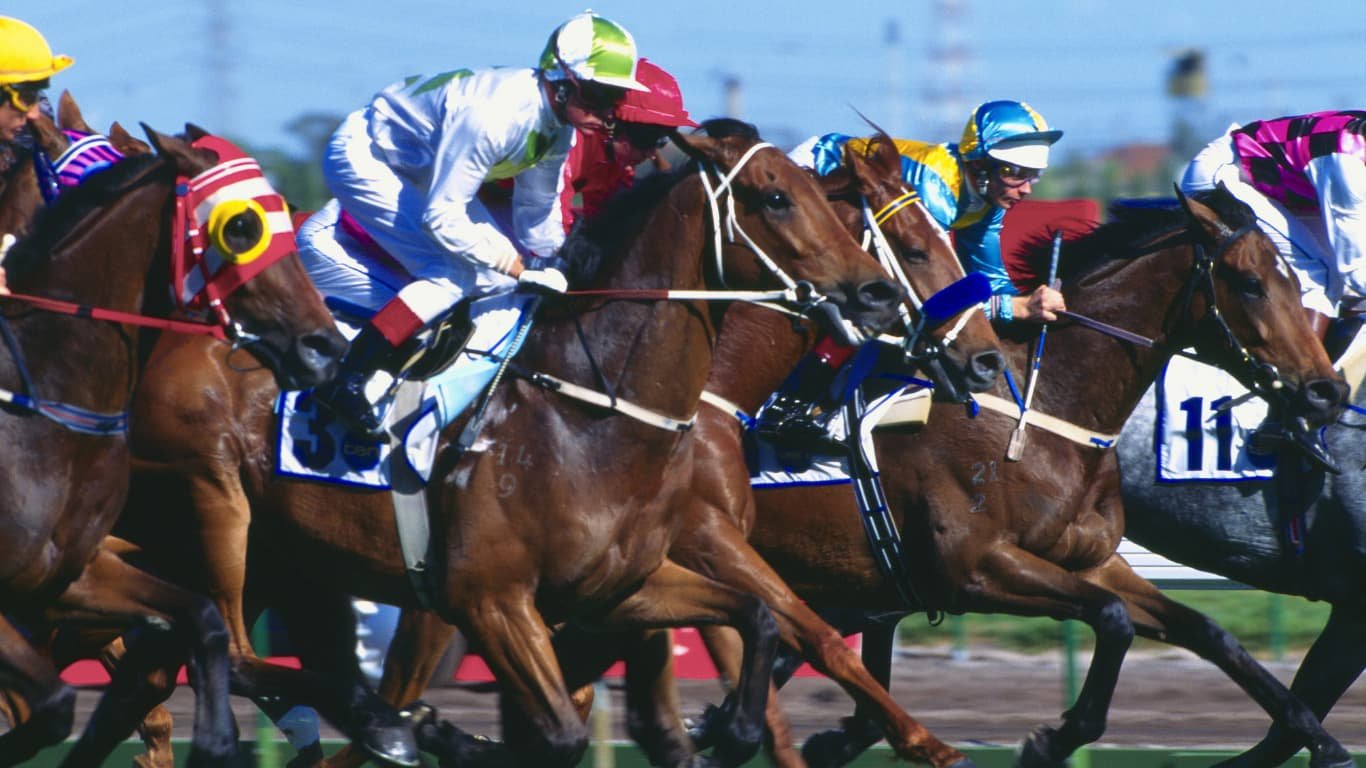 Melbourne Cup Day Horses