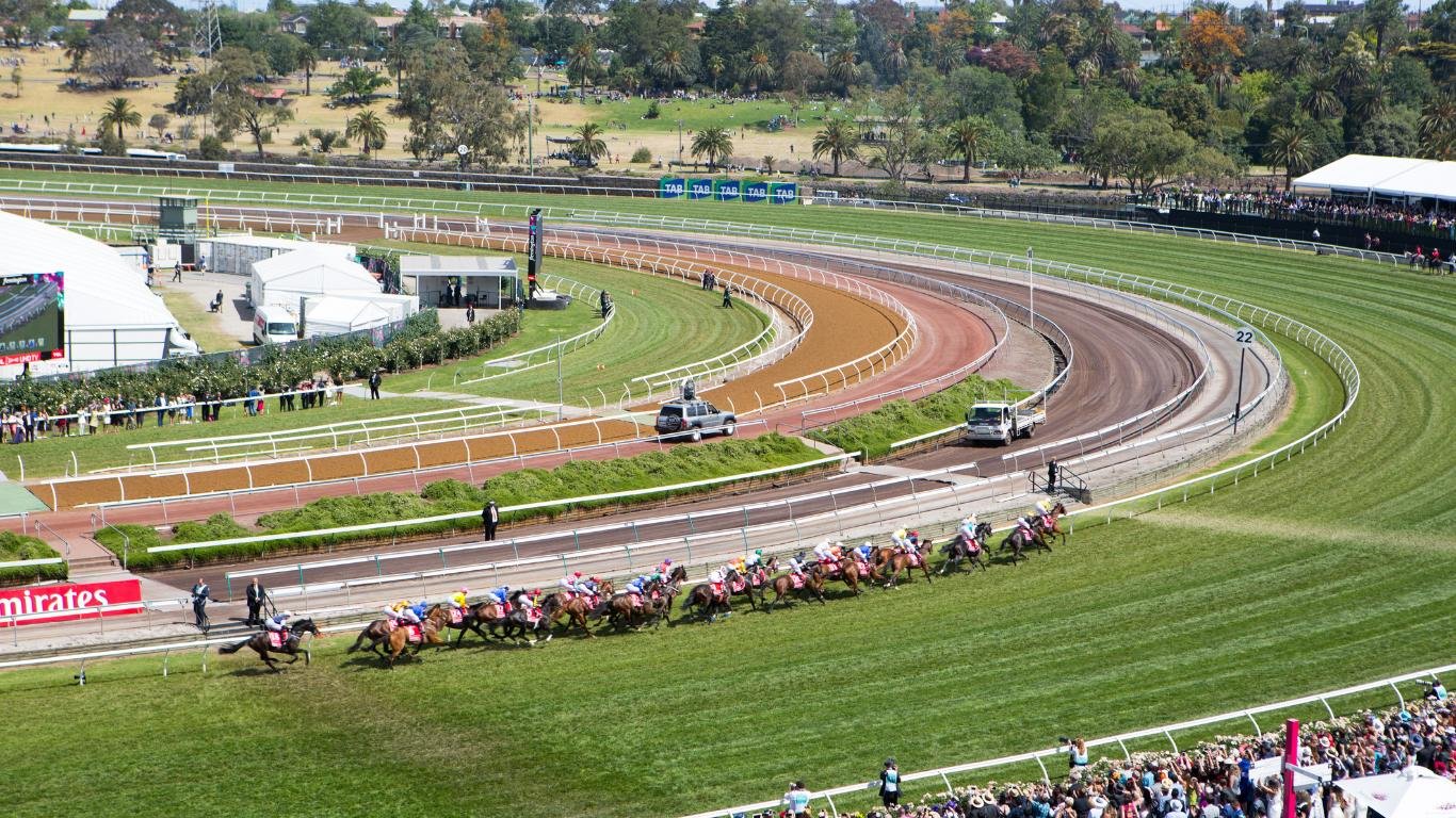 Melbourne Cup Field 2024